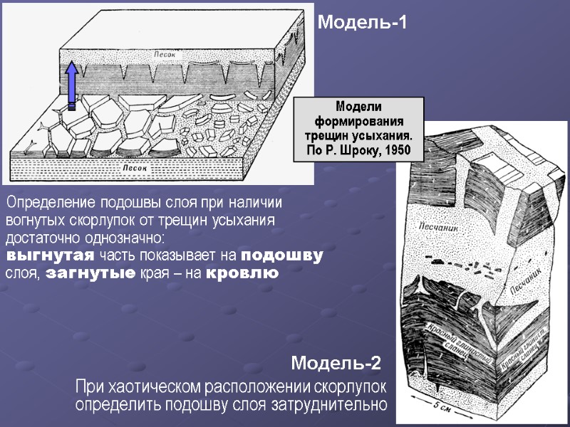 Модель-1 Определение подошвы слоя при наличии вогнутых скорлупок от трещин усыхания достаточно однозначно: 